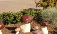 foto8