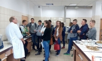 foto1