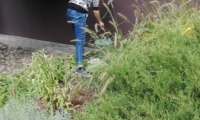 foto1