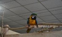 photo48