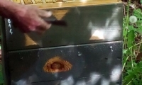 foto3