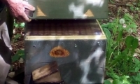 foto4