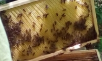 foto5
