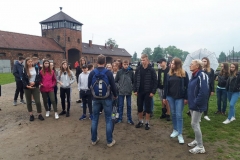 foto12
