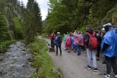 foto14