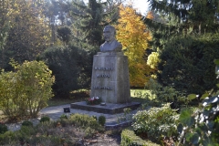 photo4