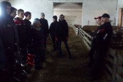 photo10
