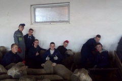 photo12
