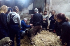 photo16