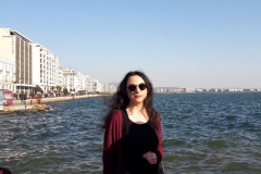 photo11