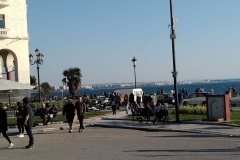 photo20