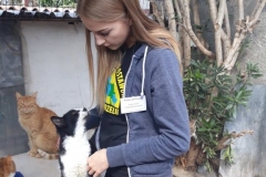 photo10