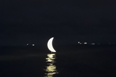 photo19