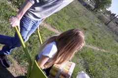 photo36