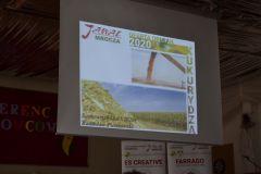 foto11