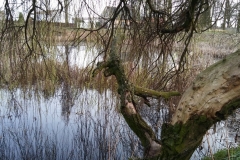 foto3