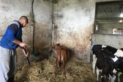 photo7