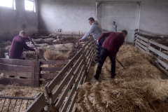 IMG_20210925_095825521_HDR