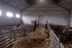 IMG_20210925_095921463_HDR