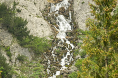foto47