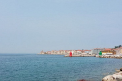 foto66