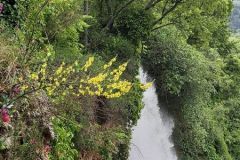 foto19