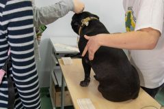 foto47