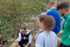 photo21
