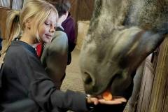 382331873_17998331066143690_3756847371627132328_n