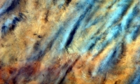photo5