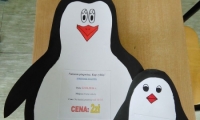 photo13