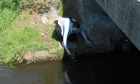 zdj_4
