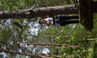 photo40
