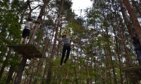 photo41