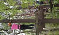 photo42