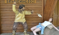 photo8
