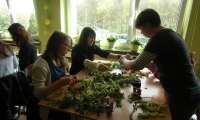 photo46