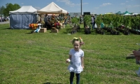 photo12