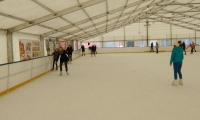 tn_IMG_20160114_115756