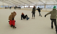 tn_IMG_20160114_120003
