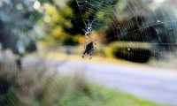 tn_DSC_8578