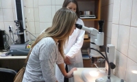 tn_P1050278