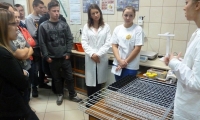 tn_P1050293