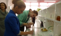 tn_P1050301
