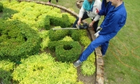 foto3
